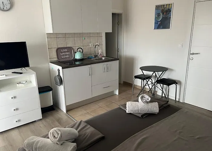 Apartament Zdrava