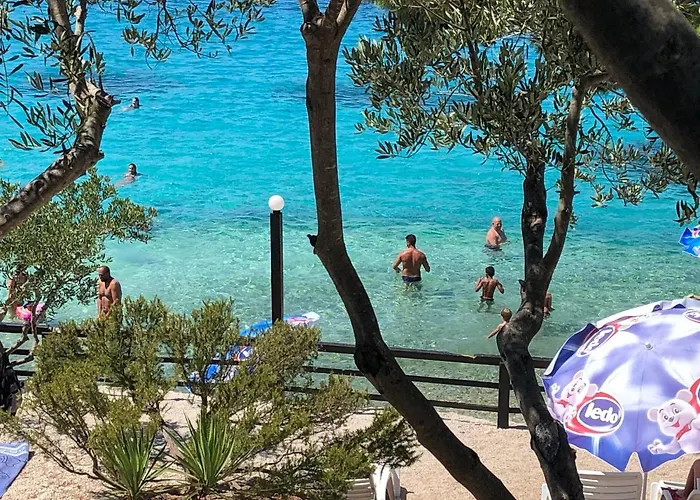 Zdrava * Trogir
